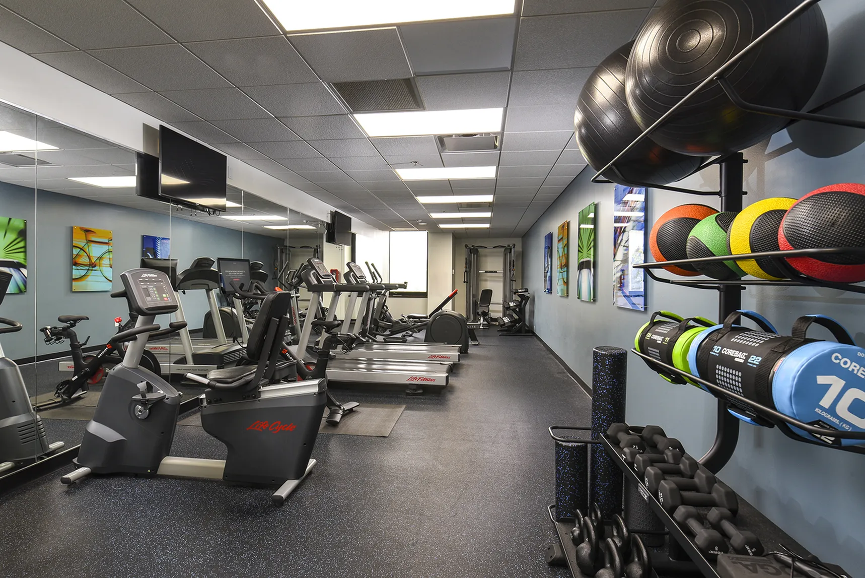 Modern fitness center equipped with treadmills, exercise bikes, and vibrant fitness accessories, offering a dynamic workout environment.