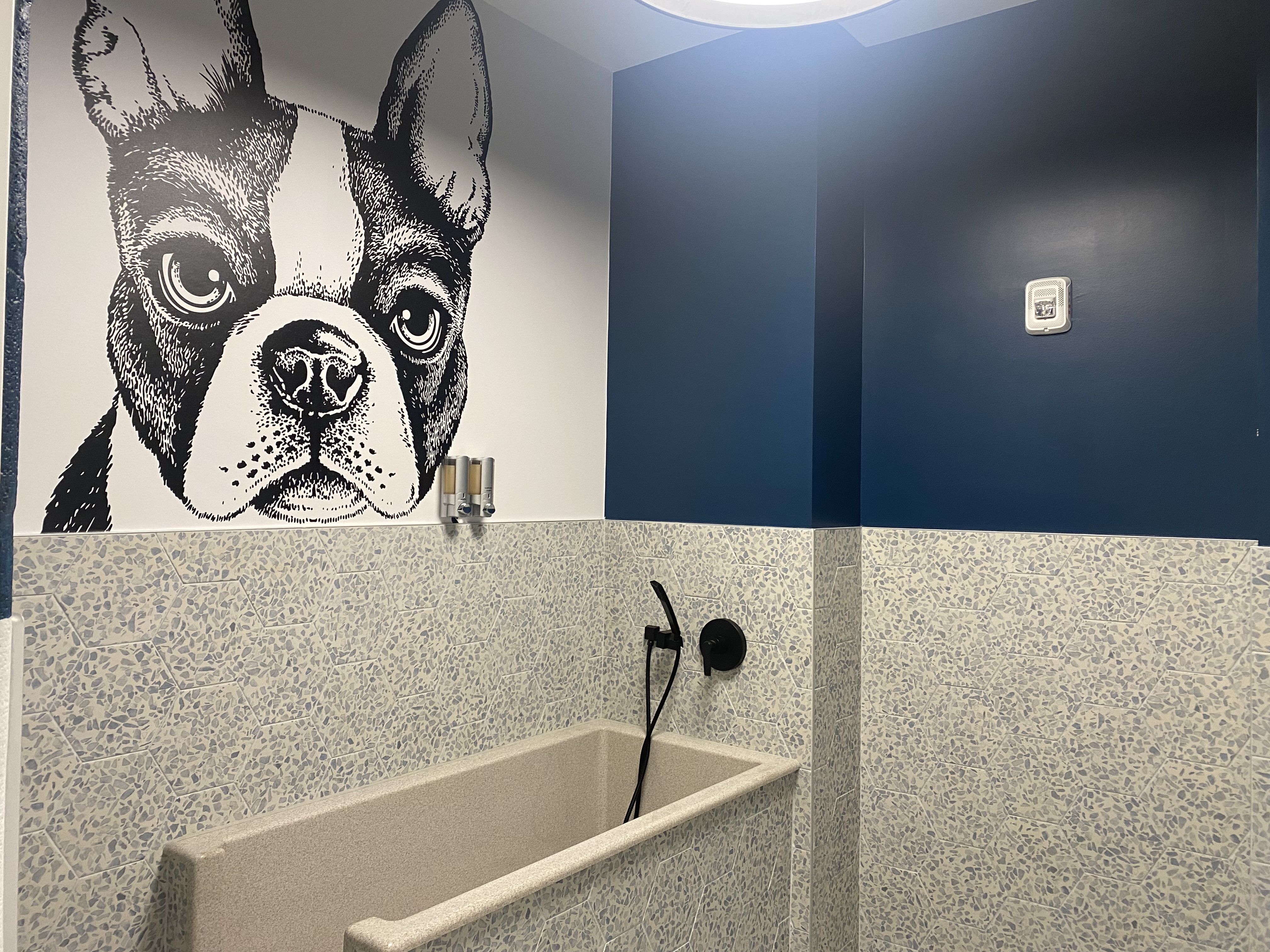 Chic pet-friendly bathroom with an artistic dog mural and modern navy blue accents, featuring a stylish wash trough.