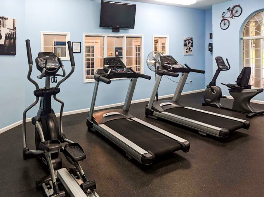 Modern fitness center with state-of-the-art treadmills, elliptical, and exercise bike, set in a bright, spacious room with a cheerful blue wall accent.