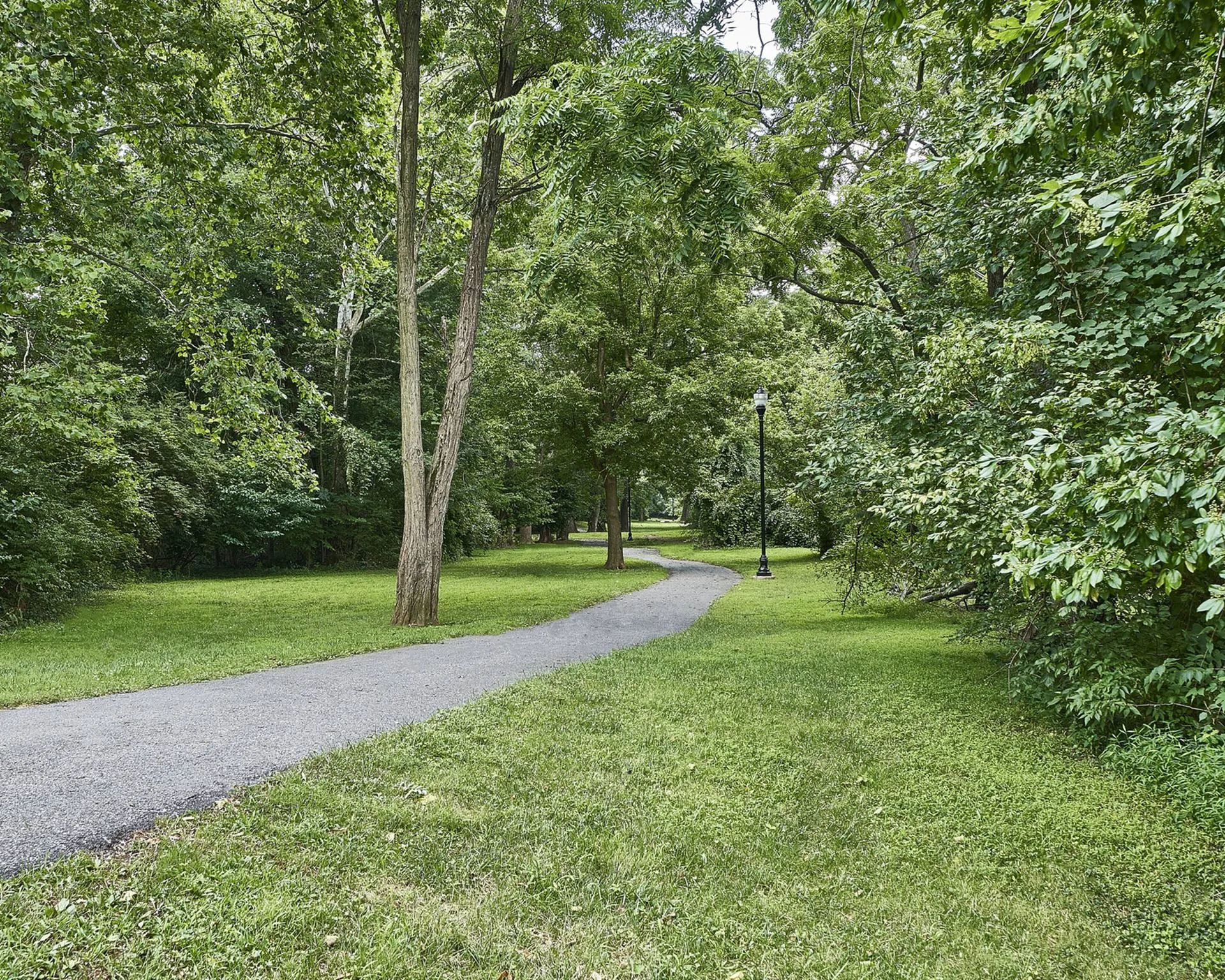 Tranquil park pathway surrounded by lush green trees, perfect for leisurely walks and nature enjoyment.