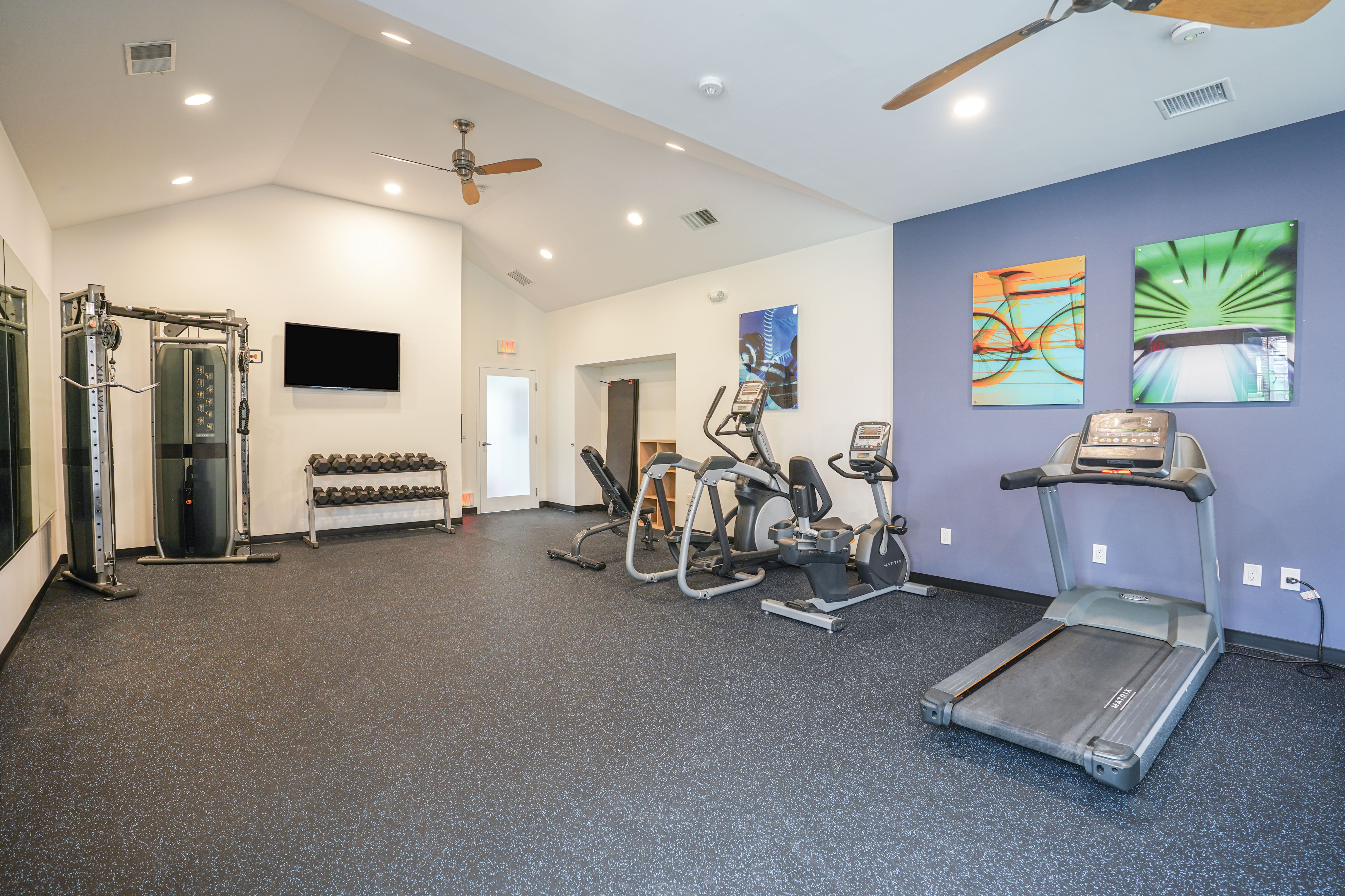 Modern and spacious fitness center with state-of-the-art equipment, vibrant wall art, and ample natural lighting.