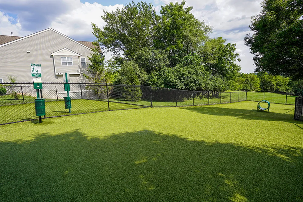 Pet-friendly outdoor area with lush green grass and agility equipment, surrounded by secure fencing and mature trees.
