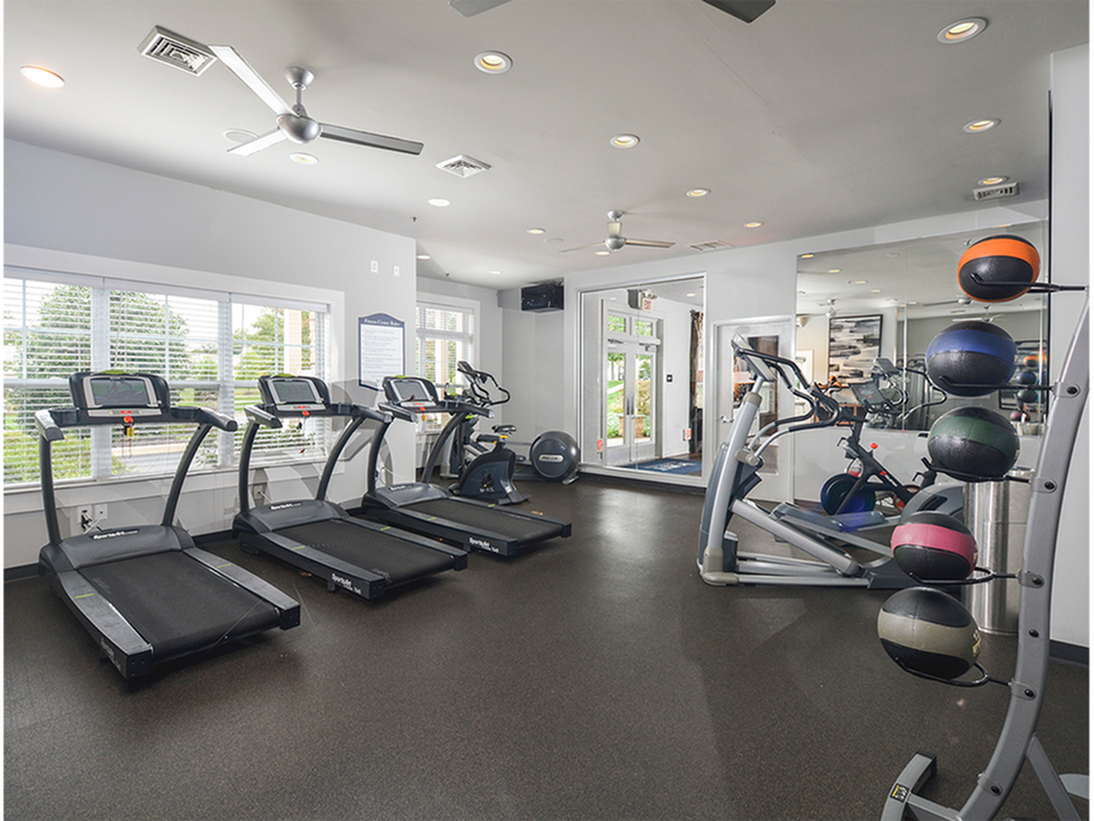 Bright and modern fitness center featuring state-of-the-art treadmills, elliptical machines, and medicine balls, perfect for a dynamic workout experience.