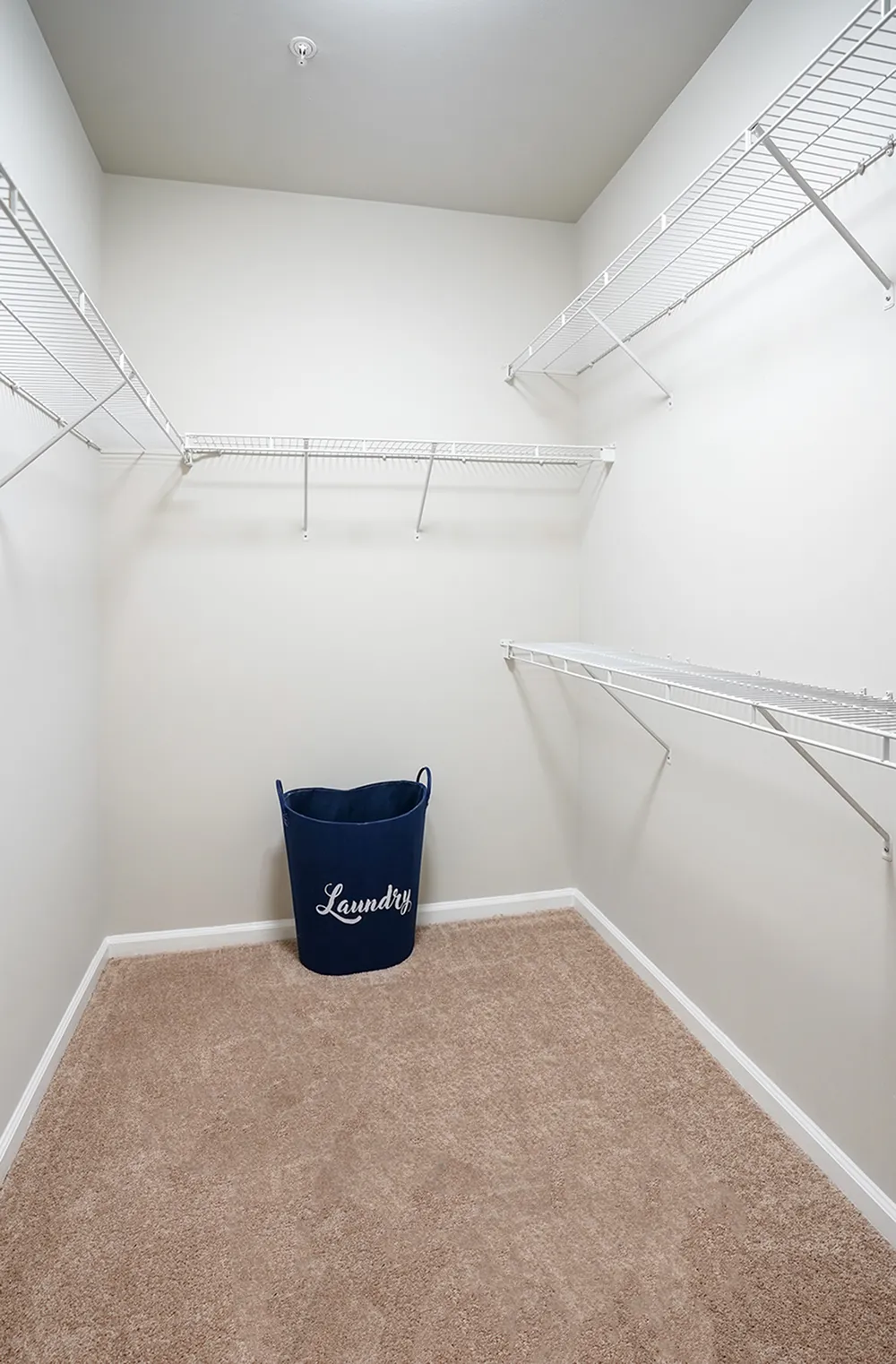 Spacious walk-in closet with sleek white shelving and plush carpet, offering ample storage solutions and a chic design.