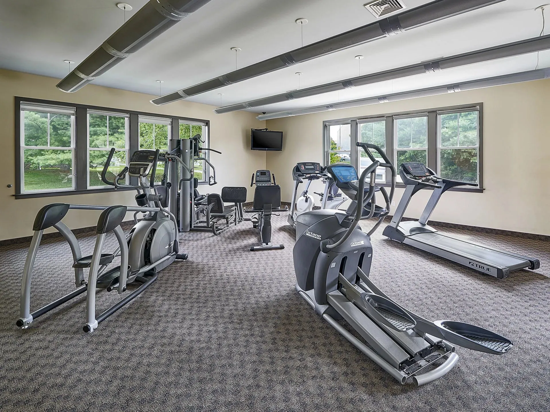 Bright and modern fitness center with state-of-the-art equipment and large windows overlooking lush greenery.