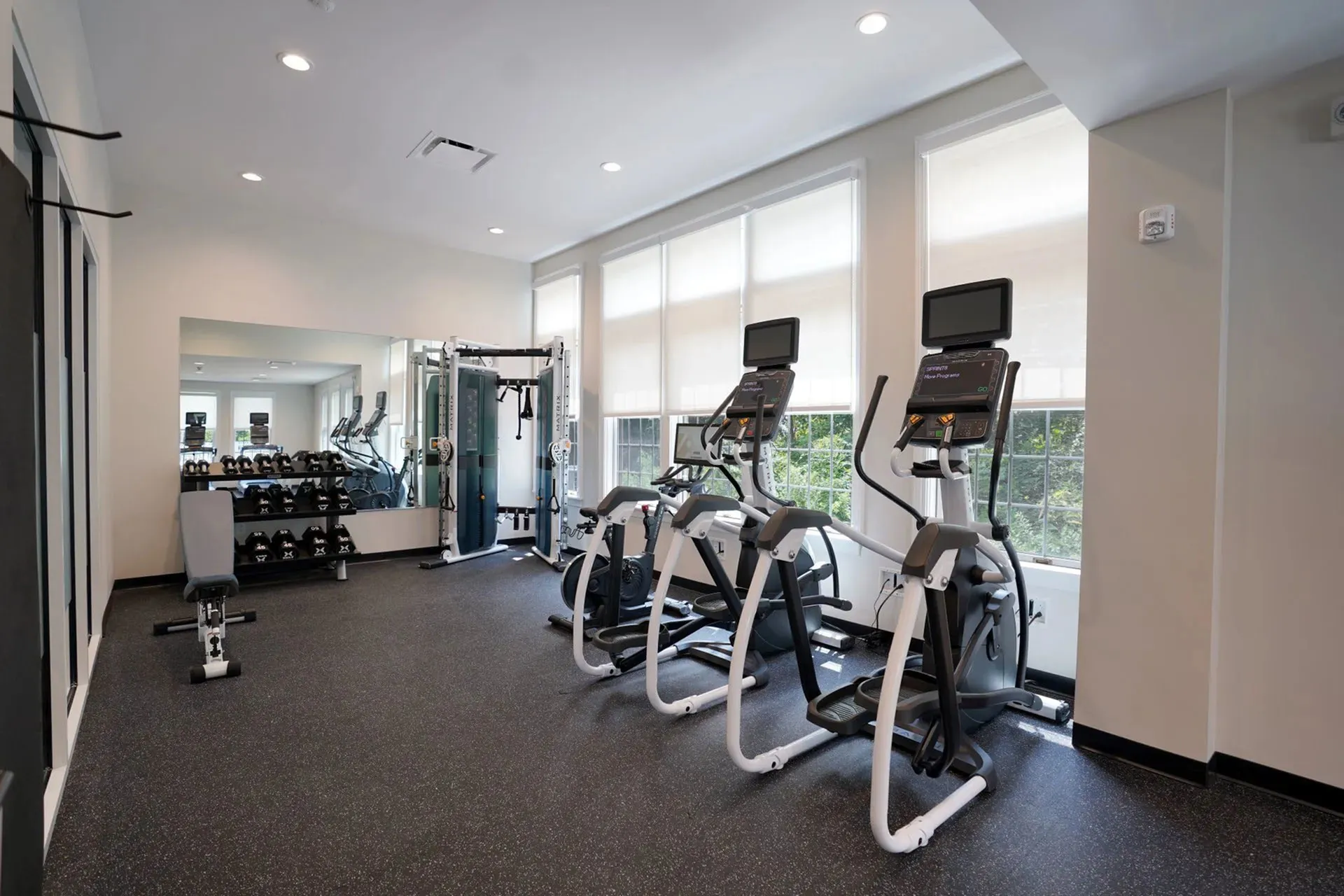 Modern fitness center with state-of-the-art exercise equipment, featuring treadmills, weight machines, and a mirrored wall for an enhanced workout environment.