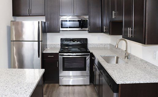 Sleek modern kitchen with stainless steel appliances, elegant dark wood cabinetry, and pristine granite countertops.