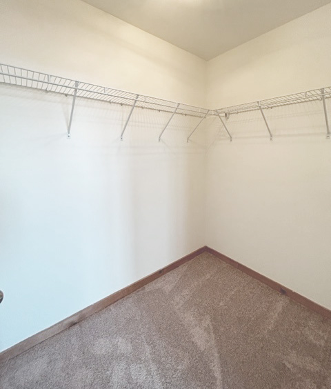Spacious walk-in closet with ample shelving, featuring cozy carpeting and bright lighting.
