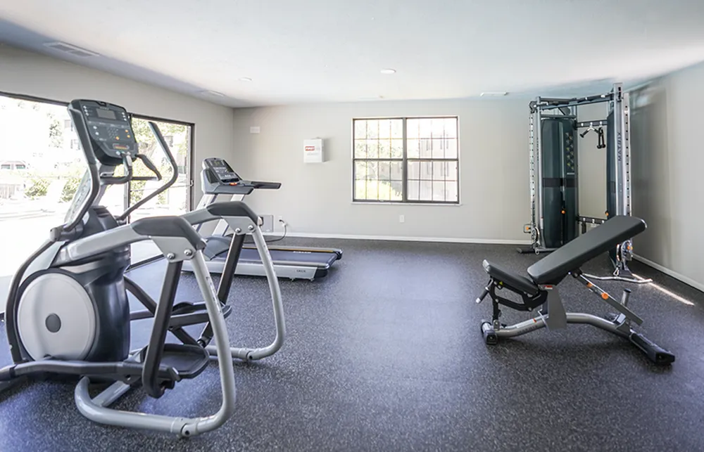 Modern gym with state-of-the-art equipment, including elliptical machines, treadmill, and weight bench, in a bright, spacious room.