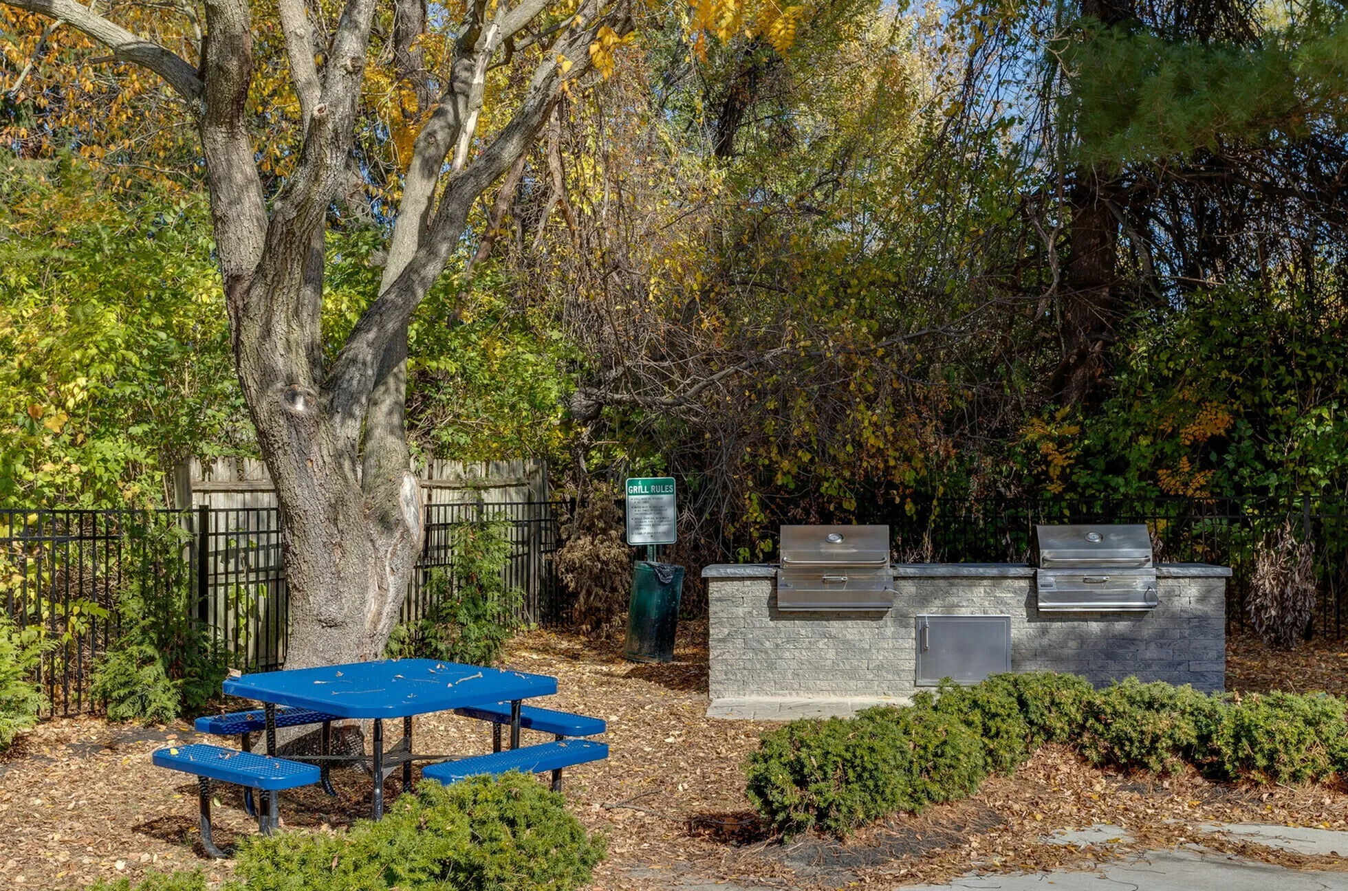 Tranquil outdoor area featuring modern grills and a vibrant blue picnic table beneath a lush tree, perfect for gatherings and relaxation.