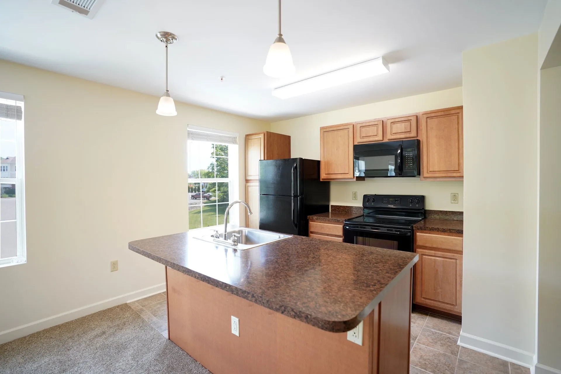 Bright, modern kitchen with elegant countertops, sleek black appliances, and ample natural light from large windows.