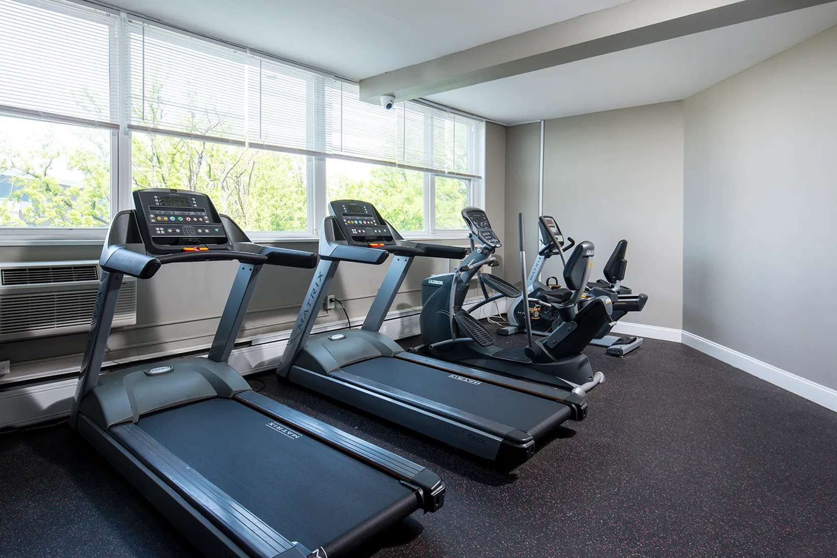 Bright and modern gym room with state-of-the-art treadmills and ellipticals, featuring large windows for natural light.