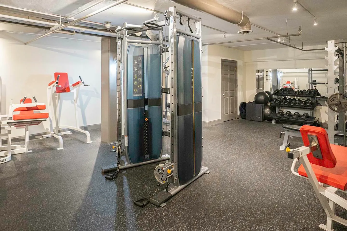 Modern gym facility with state-of-the-art exercise machines and free weights in a spacious environment.