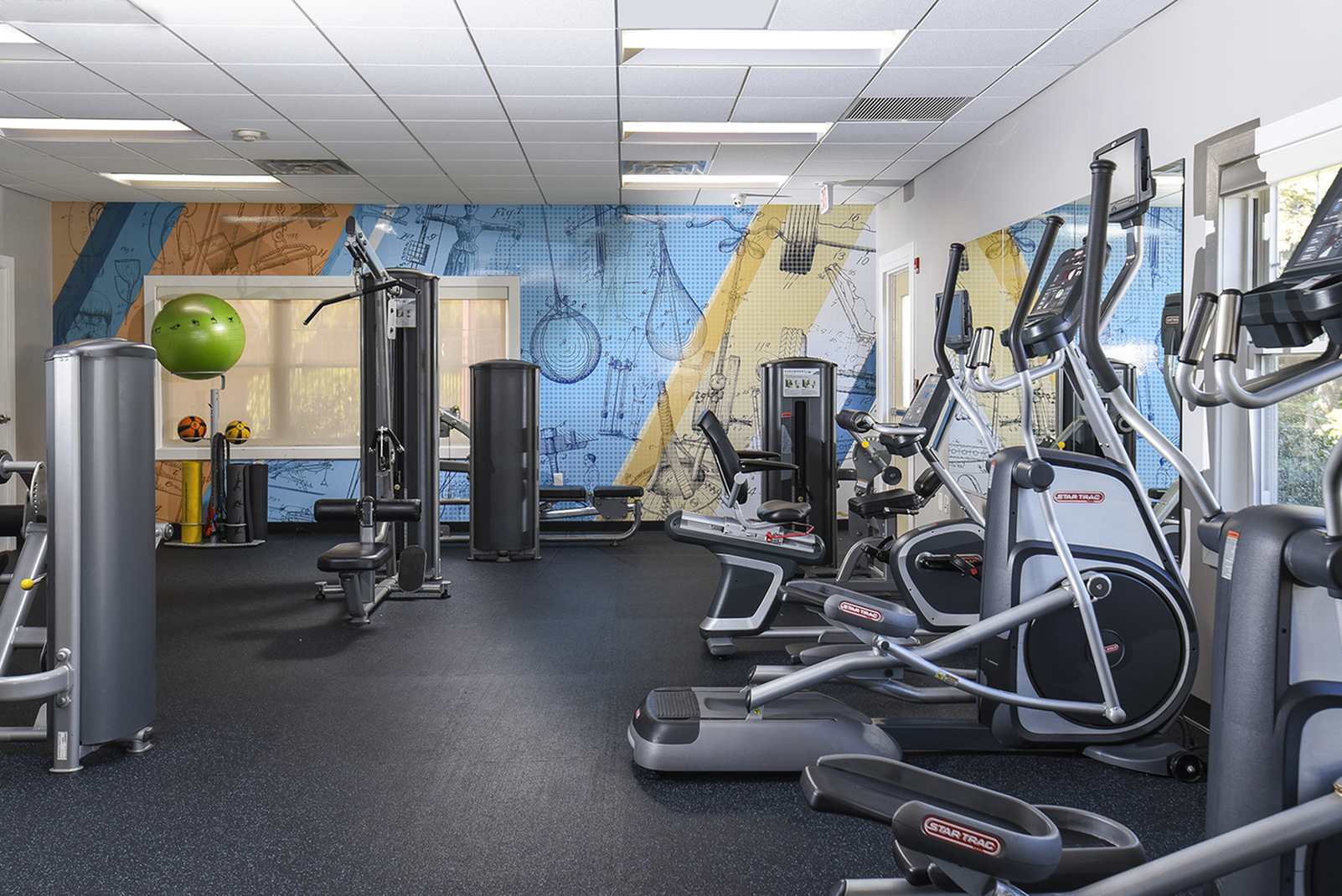 Modern fitness center equipped with state-of-the-art exercise machines and vibrant wall art.