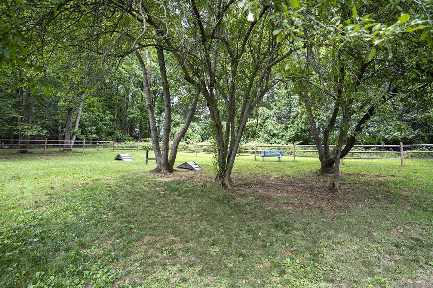 Peaceful backyard oasis with lush green grass, towering trees, and a wooden fence, perfect for relaxation.