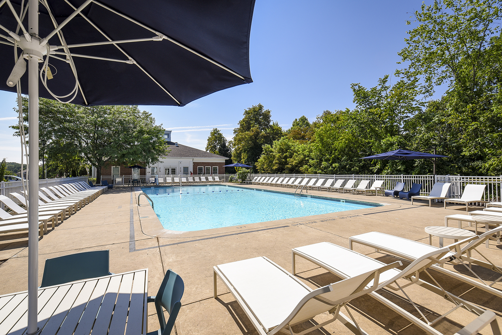 Inviting outdoor pool surrounded by lounge chairs and lush greenery, perfect for relaxation under the clear blue sky.