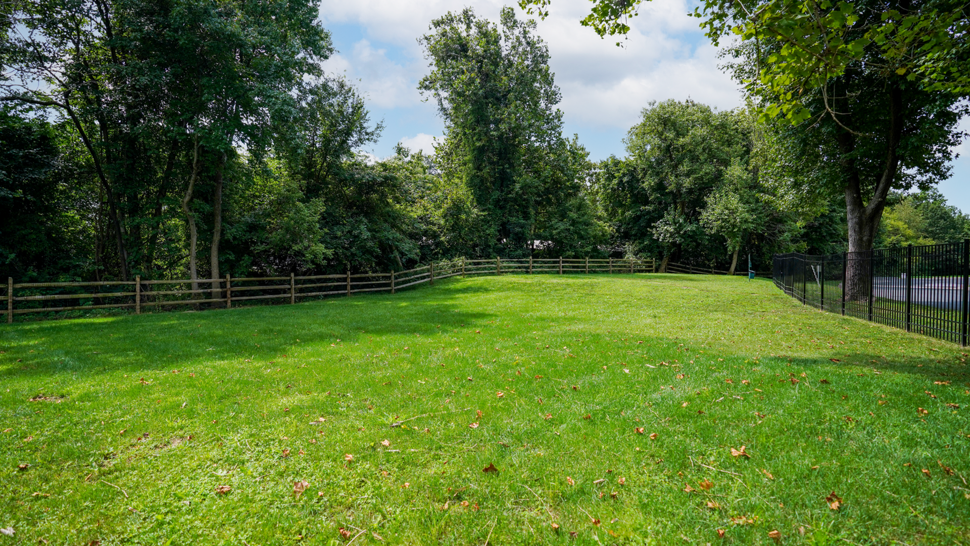 Expansive green backyard with a charming wooden fence, surrounded by lush trees, offering a serene and private outdoor space.
