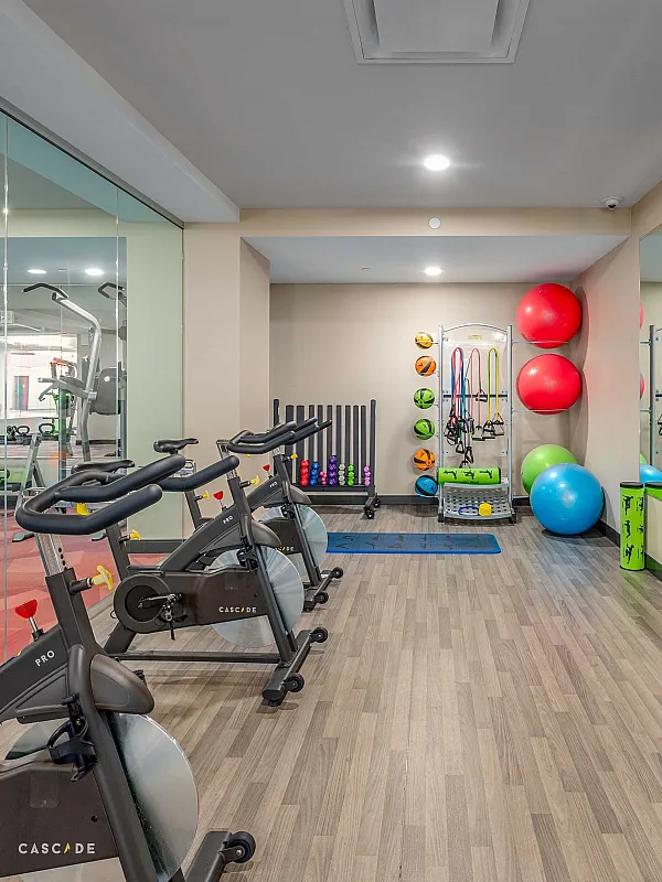 Contemporary fitness studio with exercise bikes, weights, and balance balls for a full workout experience.