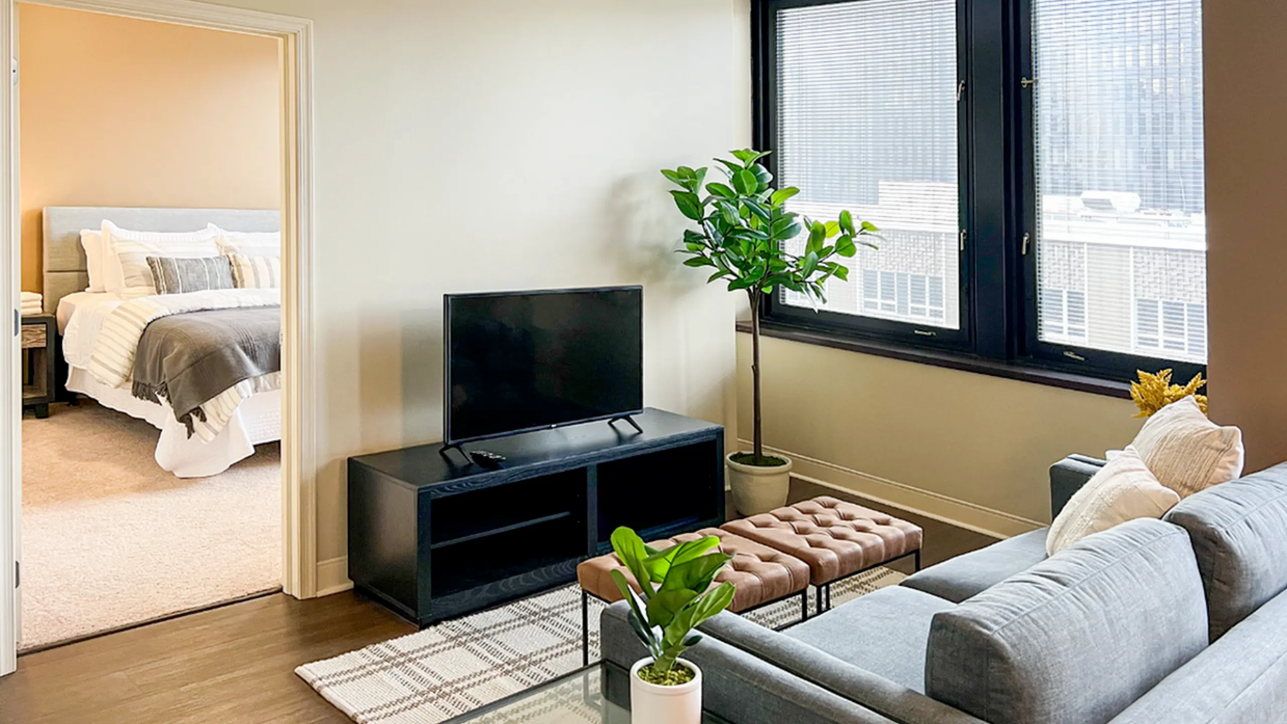 Modern apartment living room with cozy seating, stylish TV setup, and a lush green plant, leading to a bright, inviting bedroom.