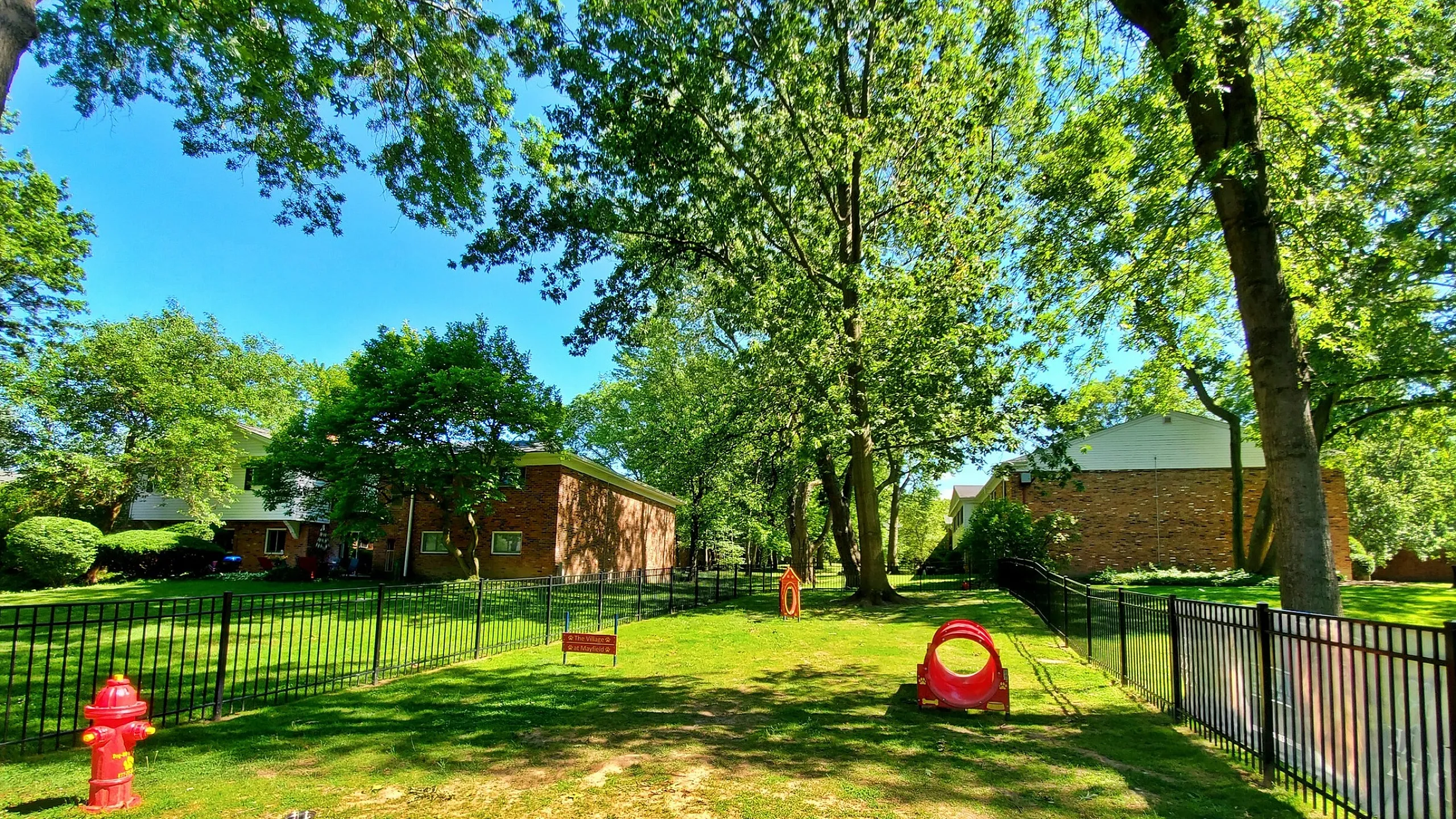 Tranquil outdoor space with lush greenery, secure fencing, and charming dog park amenities, perfect for pet lovers.