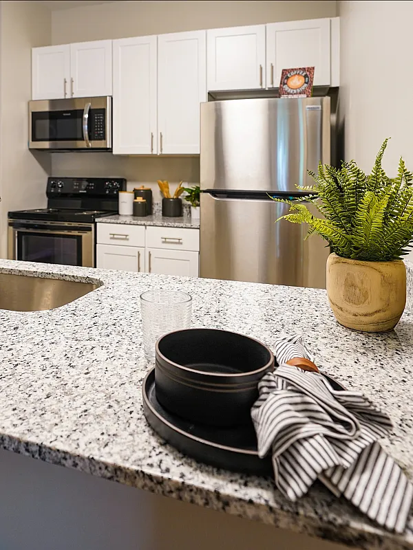 Modern kitchen with sleek granite countertops, stainless steel appliances, and elegant cabinetry, accented by vibrant greenery.