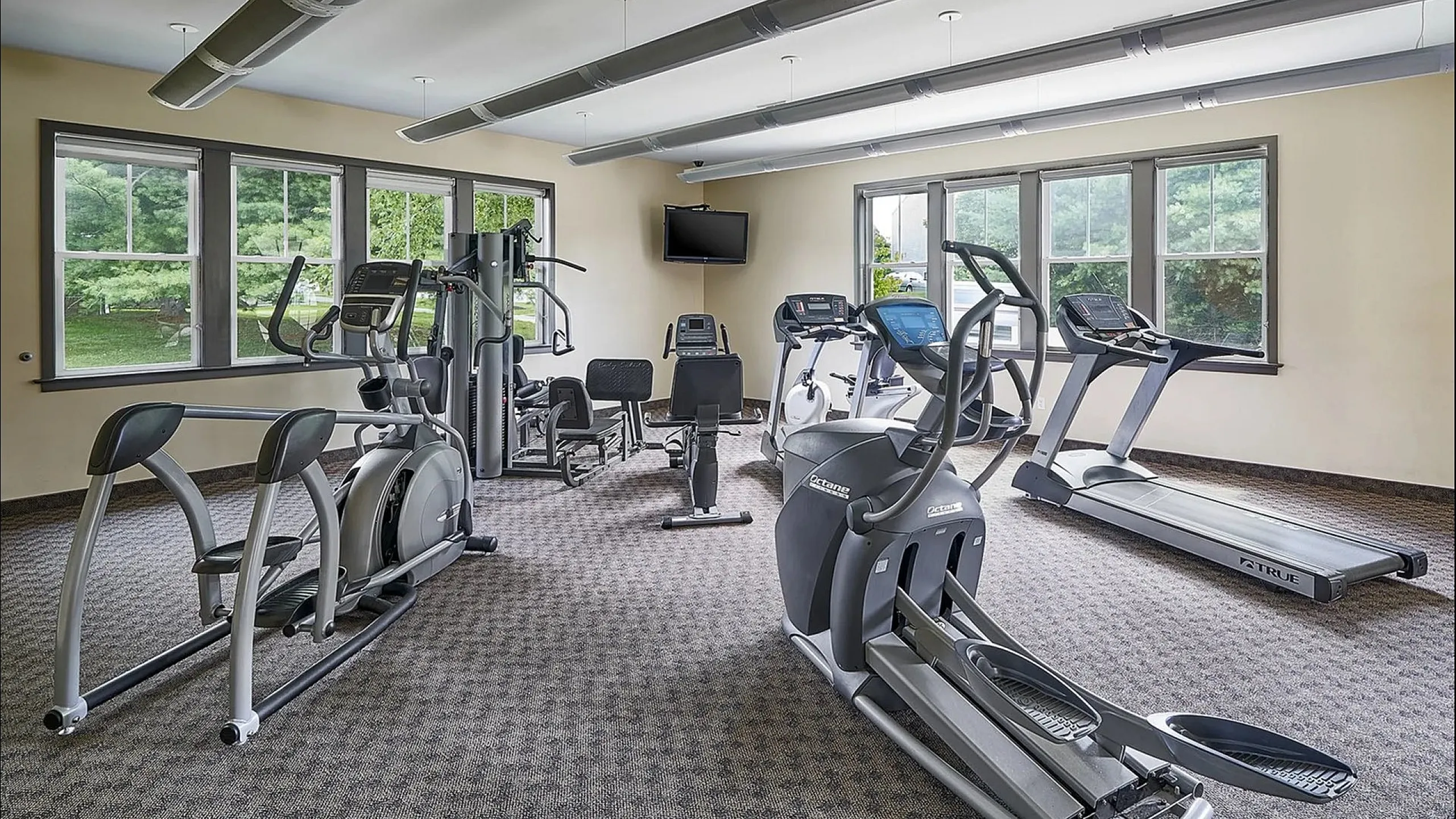 Bright and modern gym with state-of-the-art cardio equipment and large windows offering a scenic view.