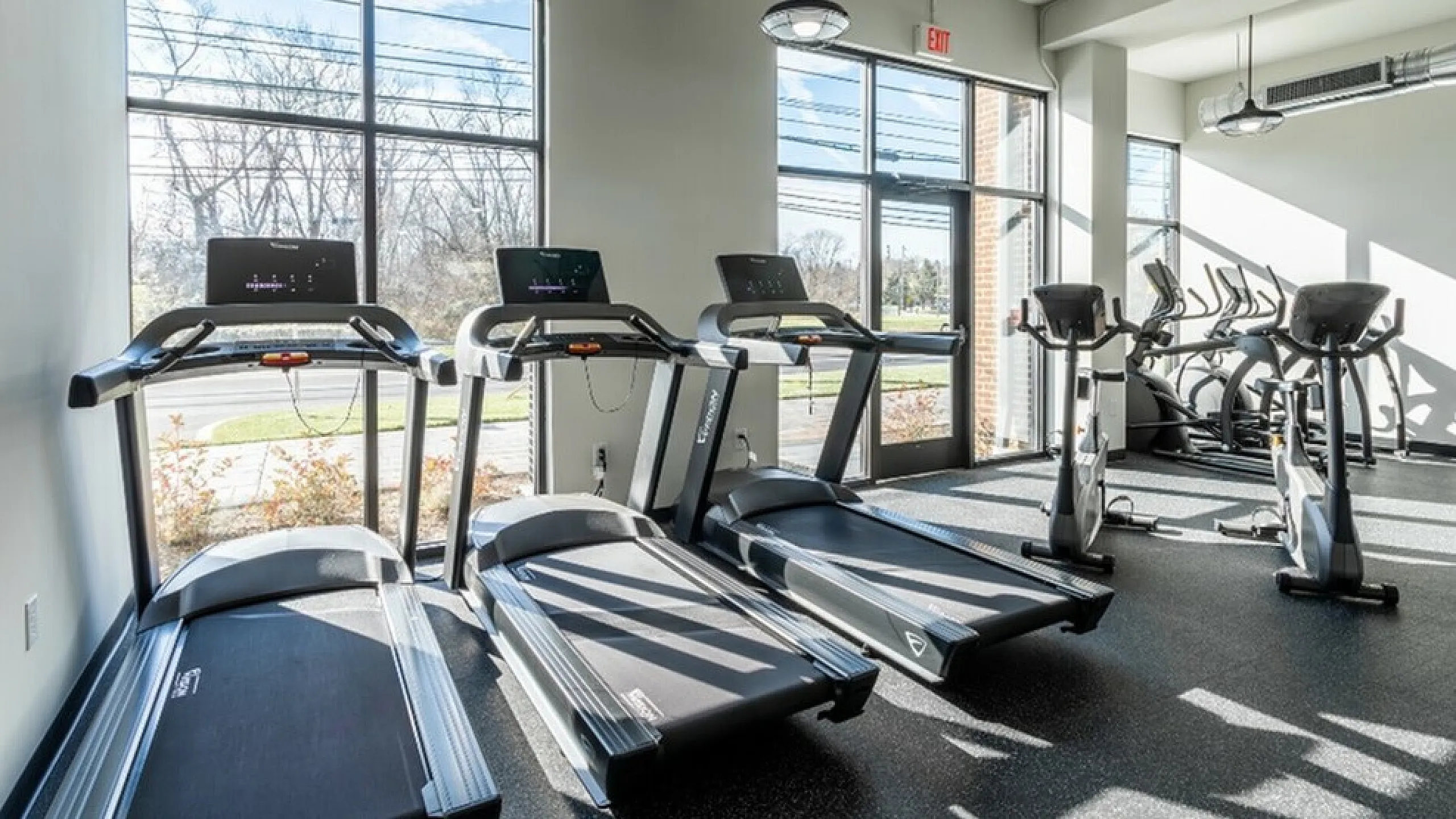 Modern fitness center with sleek treadmills and exercise bikes, flooded with natural light from expansive windows.