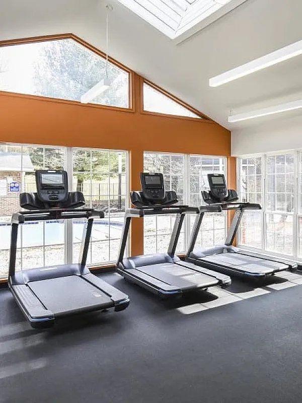 Bright and modern fitness room with treadmills and exercise equipment, featuring large windows for natural light and a stylish orange accent wall.