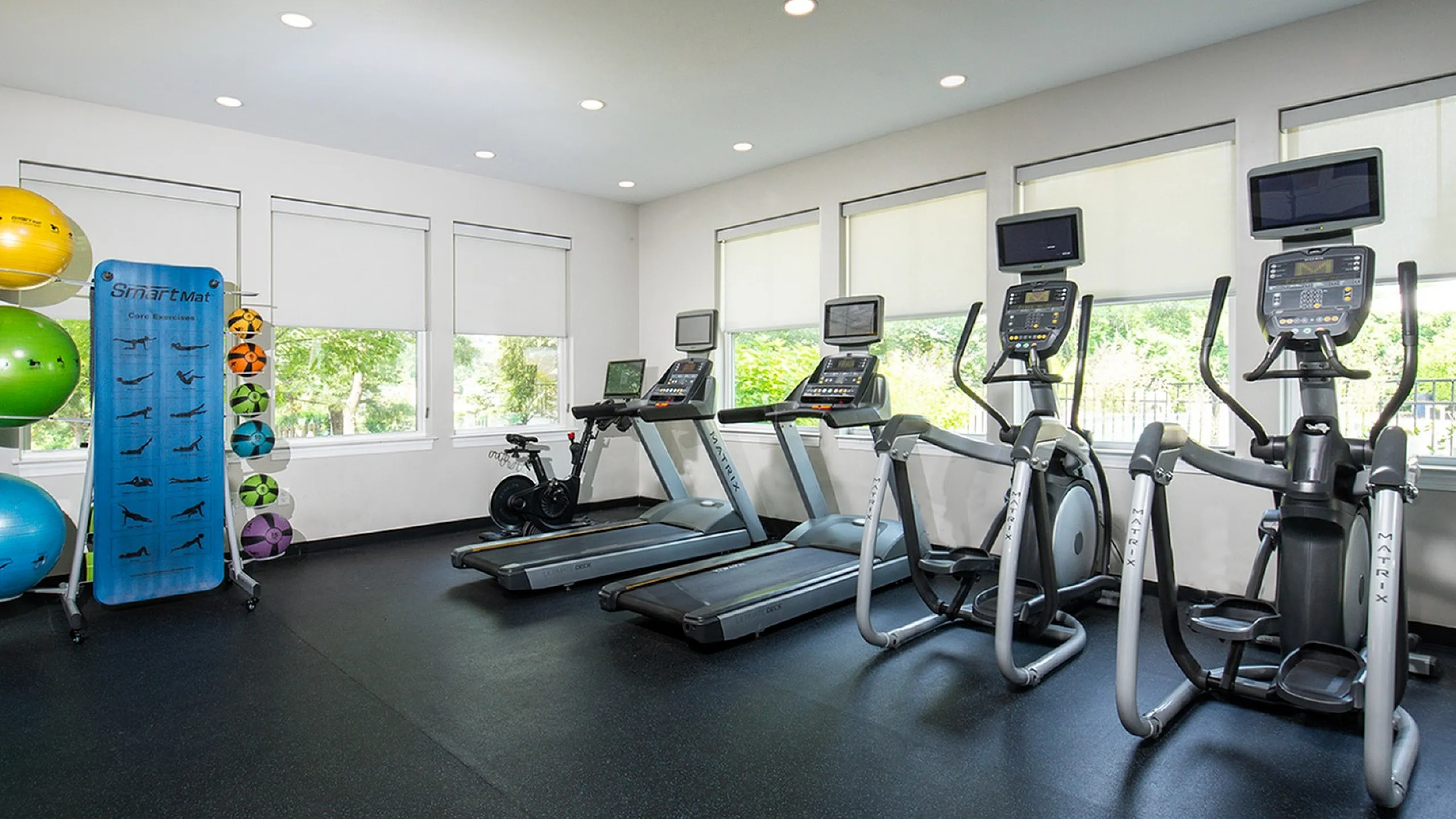 Modern fitness center with state-of-the-art treadmills, ellipticals, exercise bikes, and vibrant workout balls, well-lit by large windows.