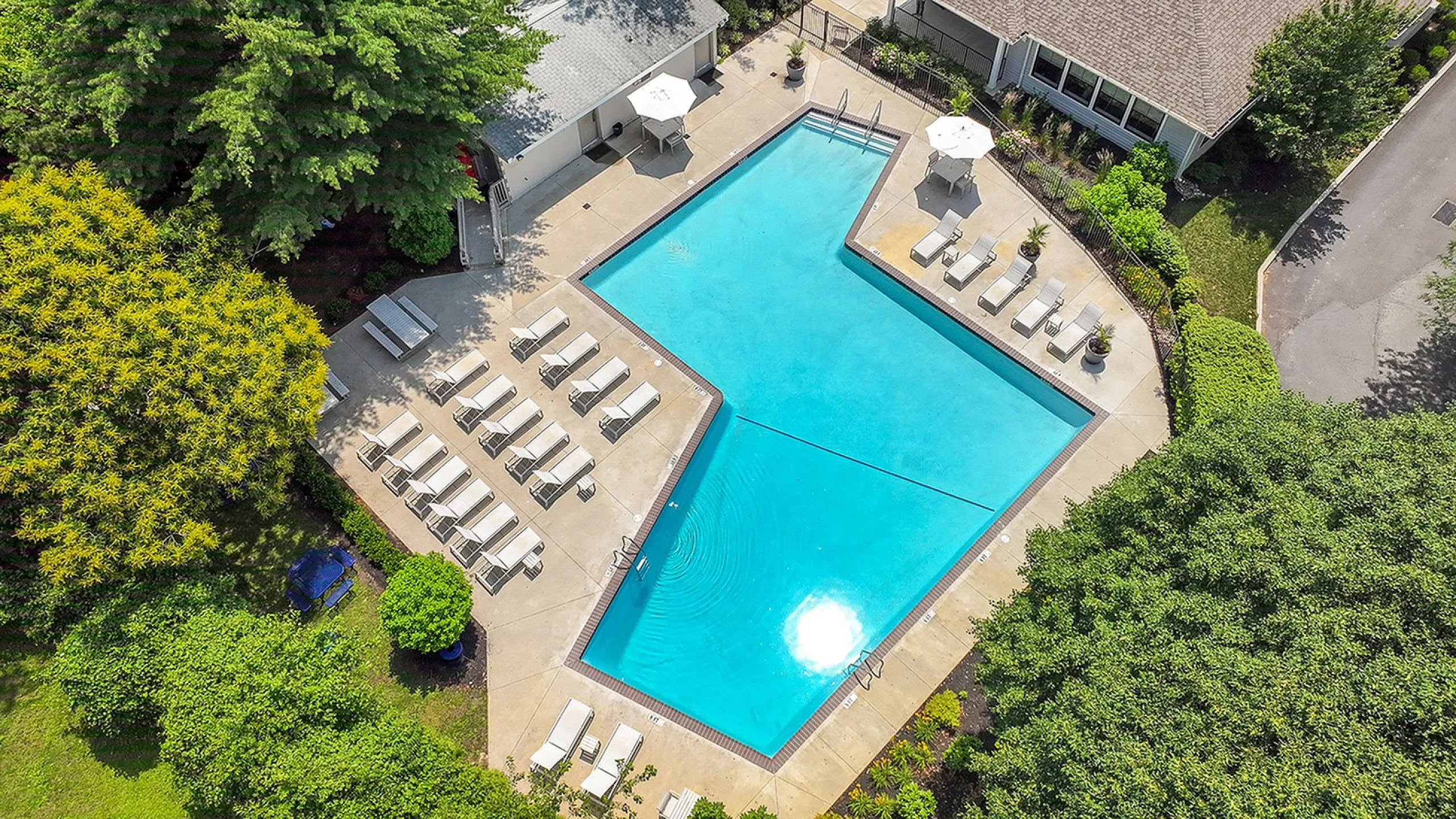 Aerial view of a sparkling outdoor swimming pool surrounded by lush greenery and elegant lounge chairs, offering a luxurious and relaxing environment.
