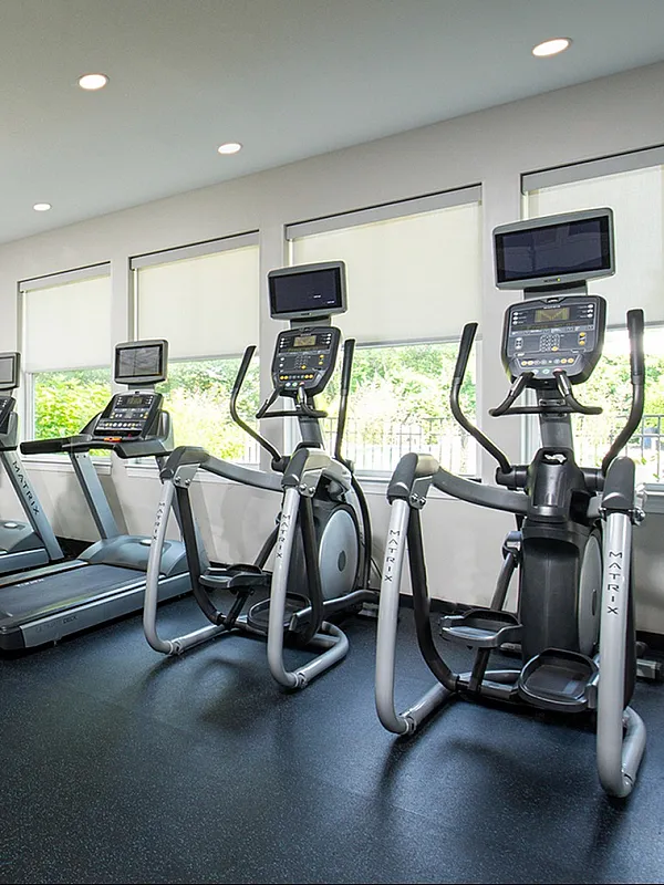 Bright and modern fitness center with state-of-the-art treadmills, exercise bikes, and vibrant yoga balls, perfect for a dynamic workout experience.