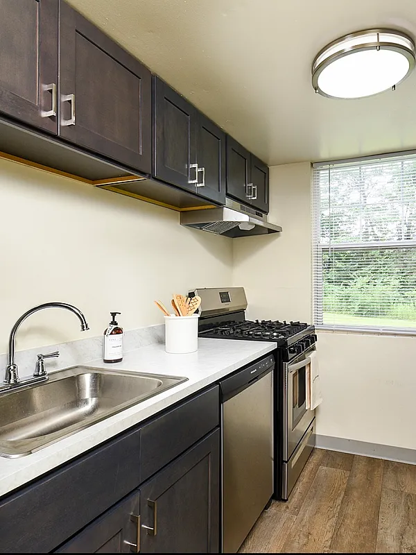 Modern kitchen with stainless steel appliances, elegant dark cabinets, and ample natural light from a large window overlooking greenery.