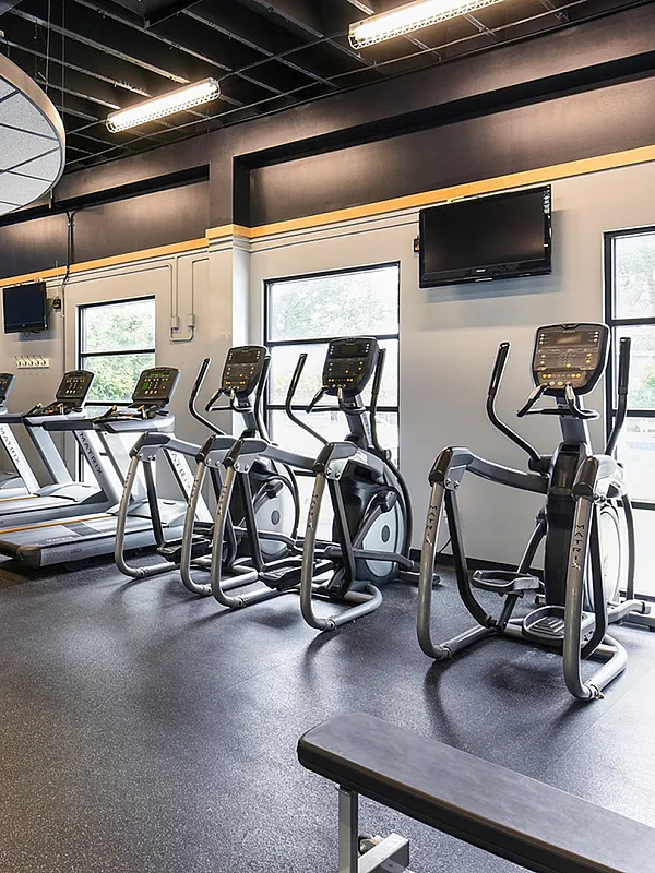 Modern fitness center with state-of-the-art cardio machines, weight equipment, and large windows offering natural light.