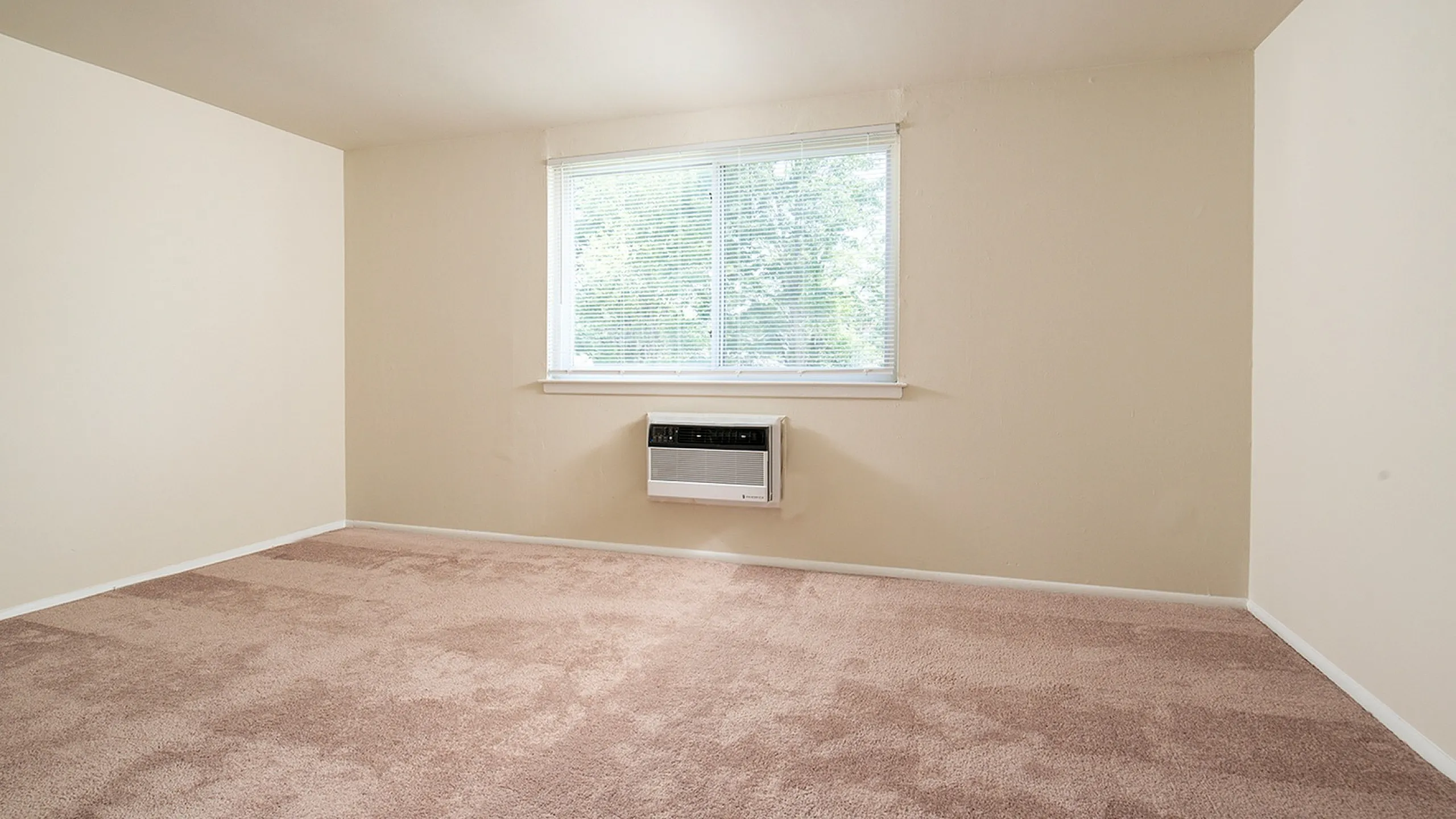 Bright and airy living space with plush carpeting, large window, and modern air conditioning unit.