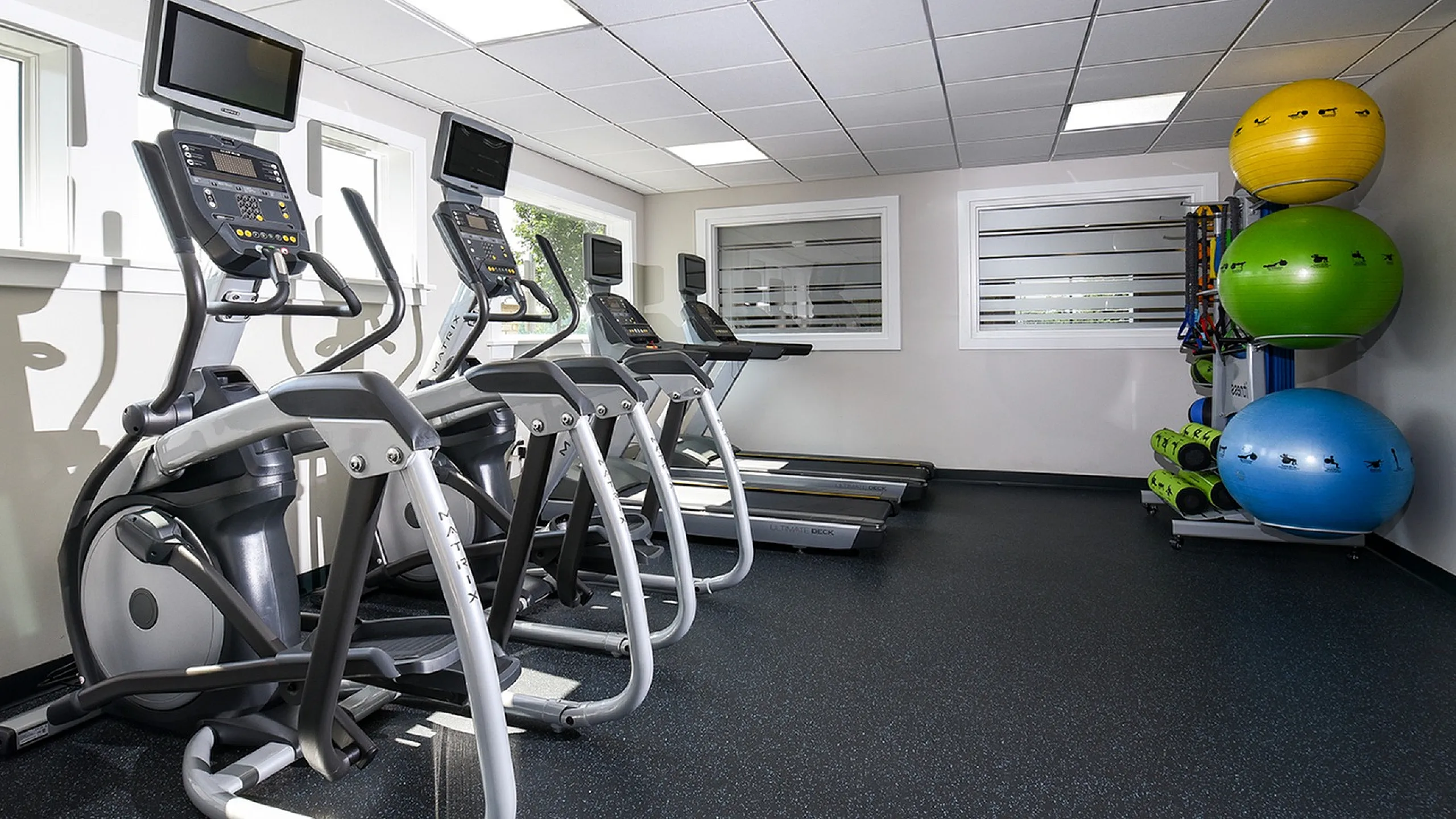 Modern fitness center featuring state-of-the-art treadmills and vibrant exercise balls in a bright, well-lit space.