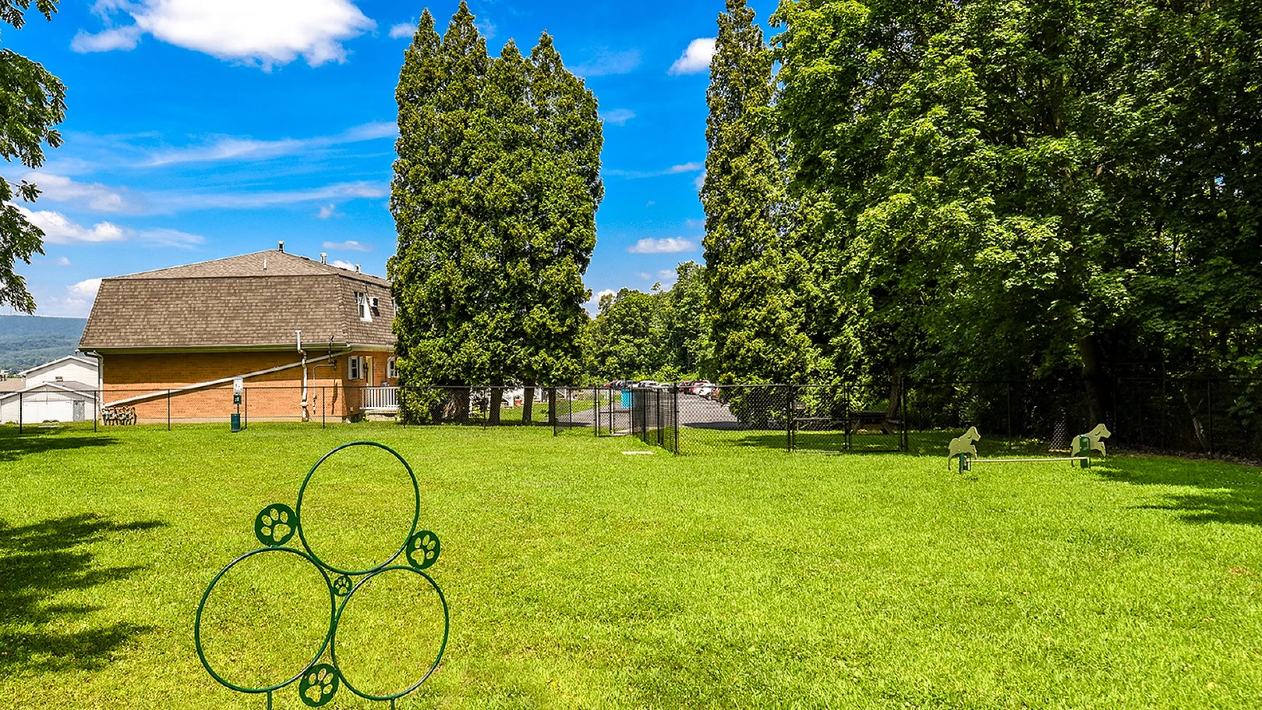 Expansive green backyard featuring playful dog agility loops, lush trees, and a charming residential view under a vibrant blue sky.