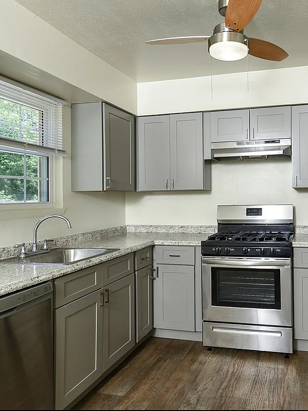 Modern kitchen with sleek gray cabinets, stainless steel appliances, and elegant granite countertops.