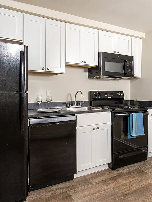 Modern kitchen with sleek black appliances, elegant white cabinets, and stylish wood flooring.