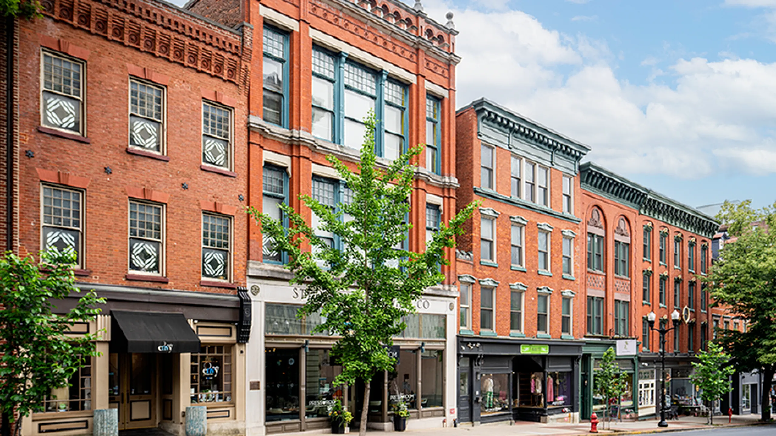 Charming urban street view showcasing historic brick buildings with elegant storefronts and lush greenery under a bright blue sky.