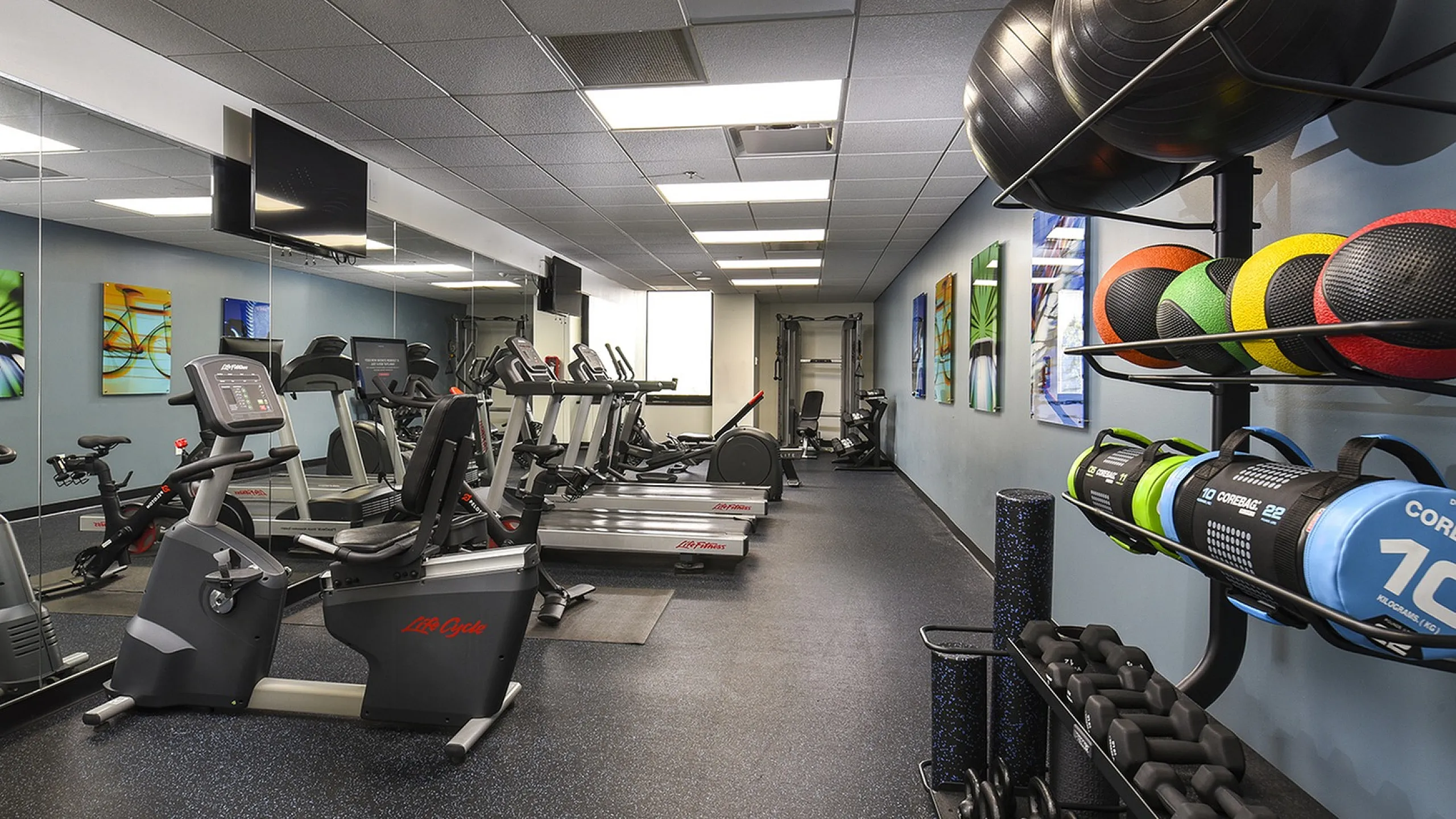 Modern fitness center with sleek cardio machines, vibrant yoga mats, and colorful exercise balls, perfect for an energizing workout.