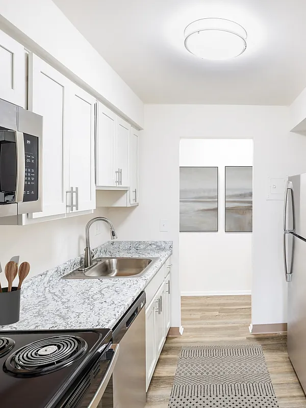 Modern kitchen with sleek stainless steel appliances, elegant white cabinetry, and stylish granite countertops.