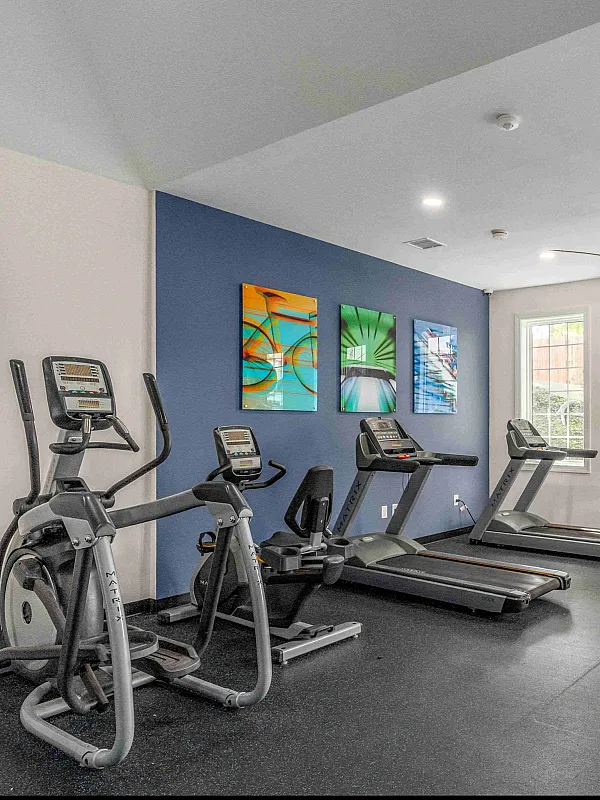 Modern fitness room featuring state-of-the-art treadmills, elliptical machines, and colorful exercise balls beside large windows.