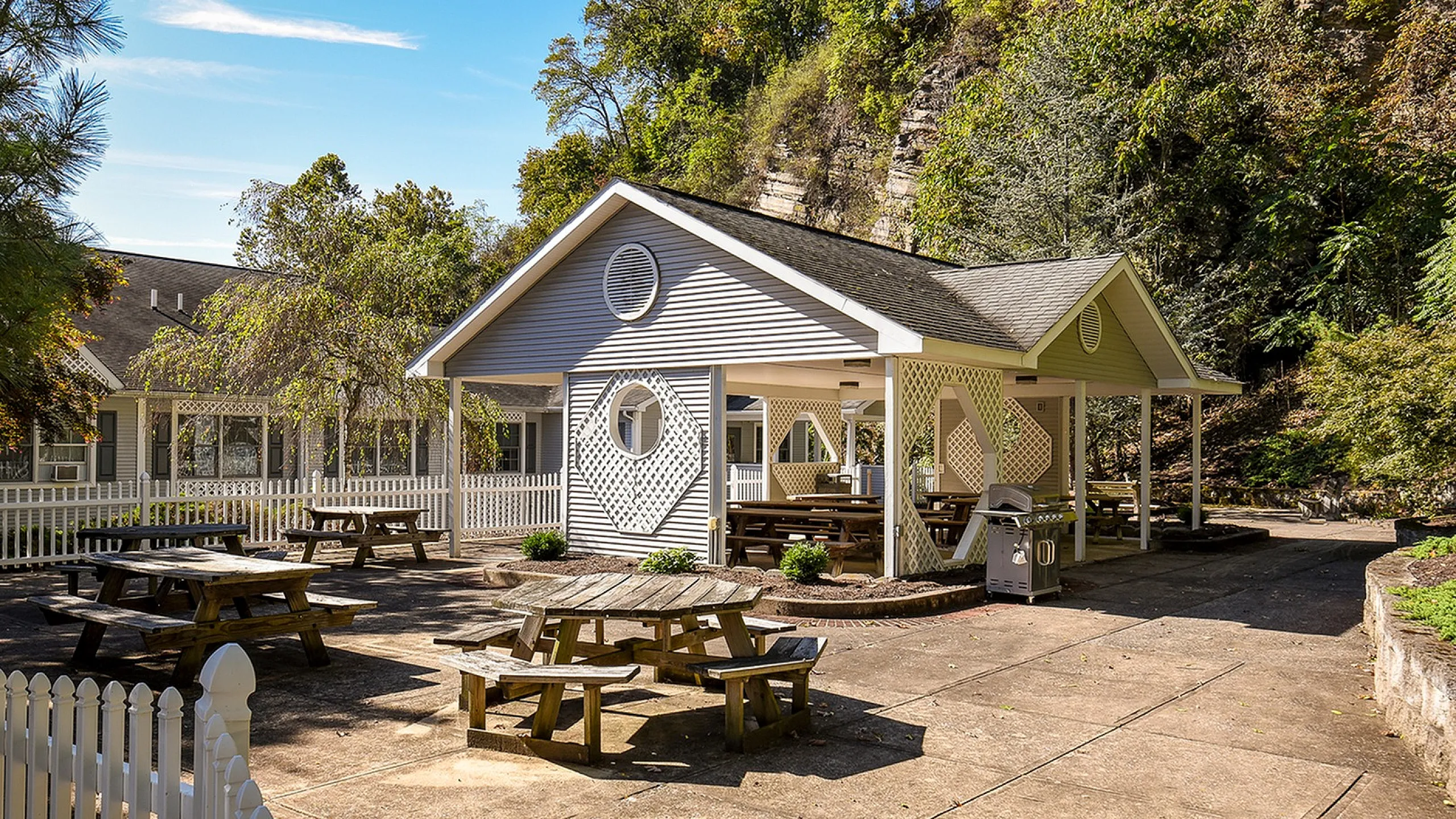 Charming outdoor pavilion nestled in lush greenery, featuring picnic tables and a barbecue grill, perfect for gatherings and relaxation.