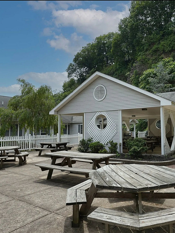 Charming outdoor pavilion with picnic tables surrounded by lush greenery, perfect for gatherings.
