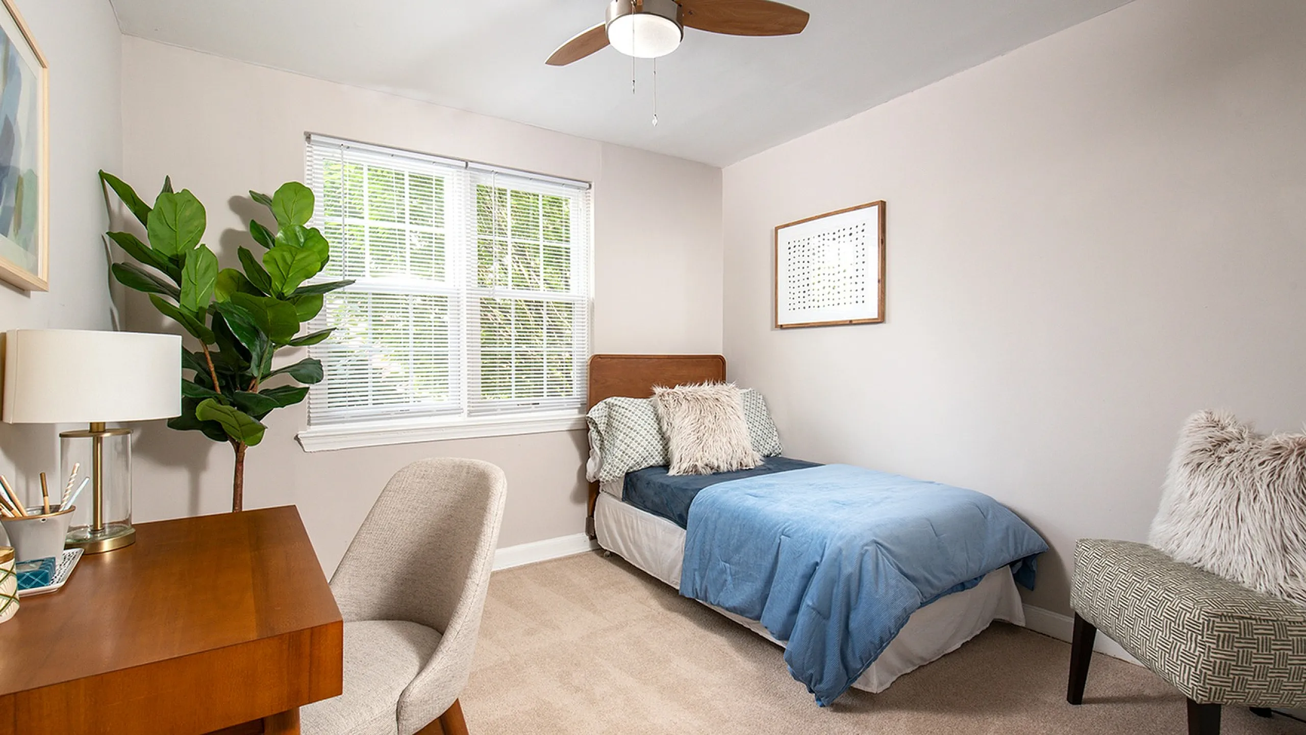 Cozy and modern bedroom with a single bed, stylish desk, and lush indoor plant, bathed in natural light for a serene retreat.