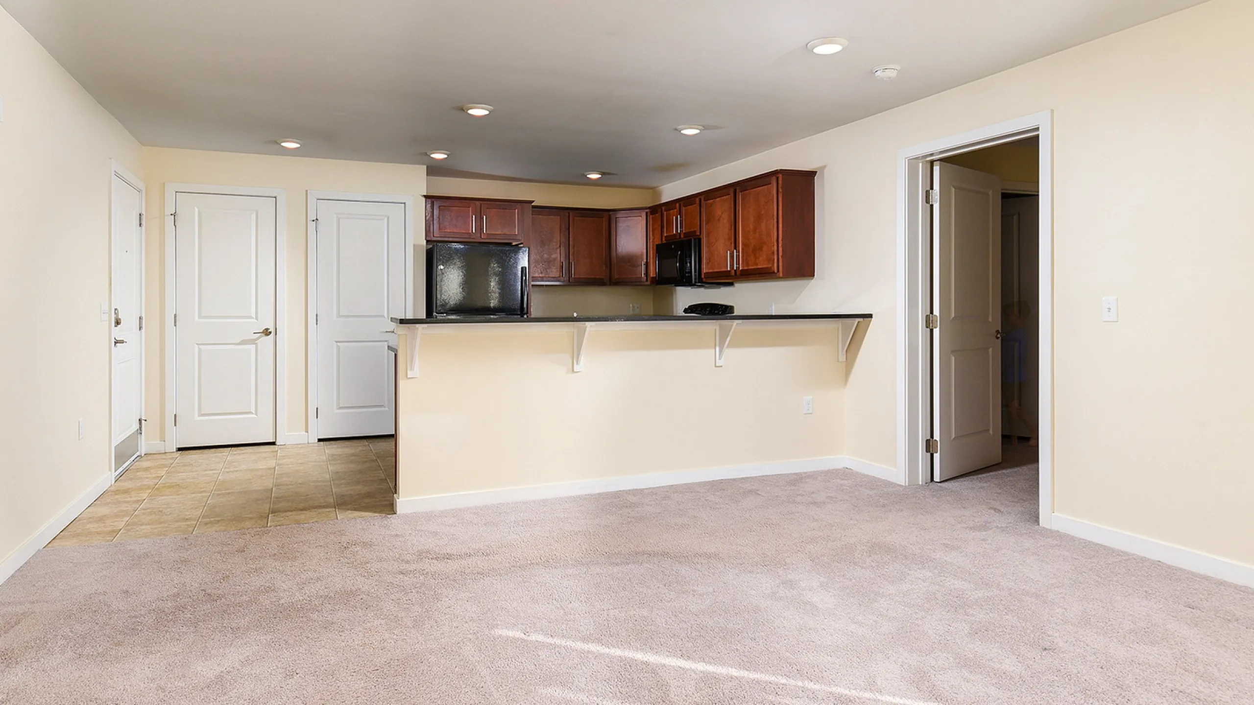 Bright open-plan layout featuring a cozy living area with plush carpeting, adjacent to a modern kitchen with dark wood cabinets.