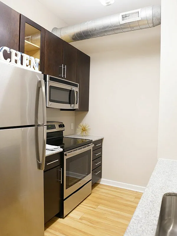 Modern kitchen with stainless steel appliances, sleek dark cabinets, and stylish decor, ideal for culinary enthusiasts.