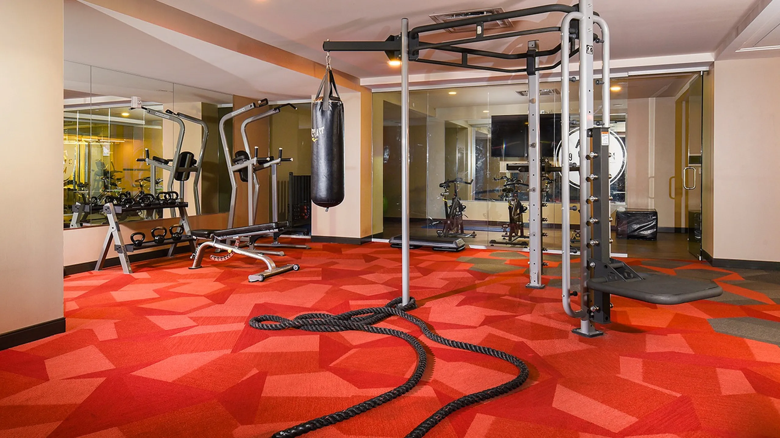 Vibrant fitness center with modern gym equipment, including strength machines and a punching bag, on a stylish red geometric carpet.