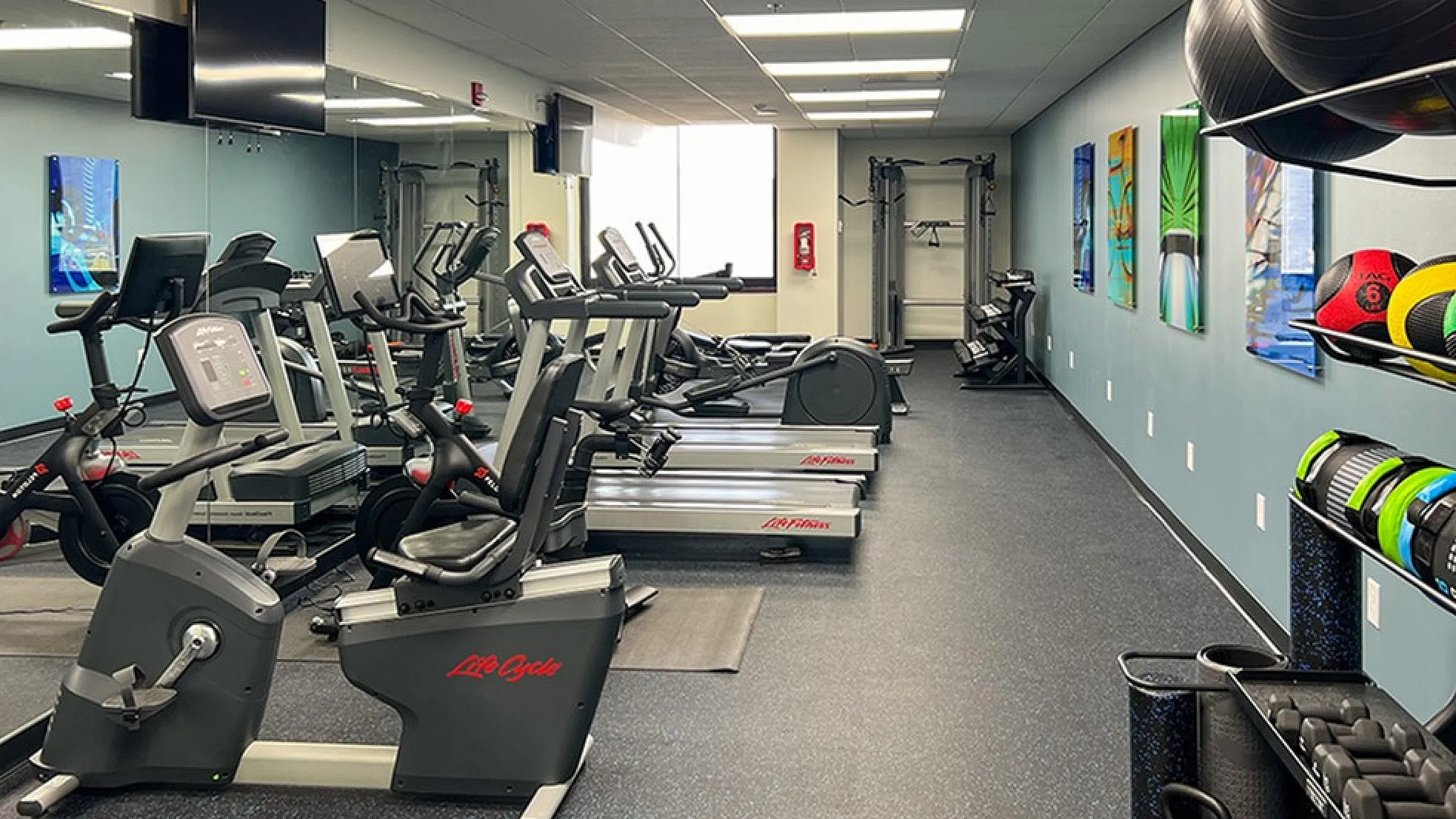 Modern fitness center with state-of-the-art exercise bikes, treadmills, vibrant wall art, and a full rack of colorful workout gear.