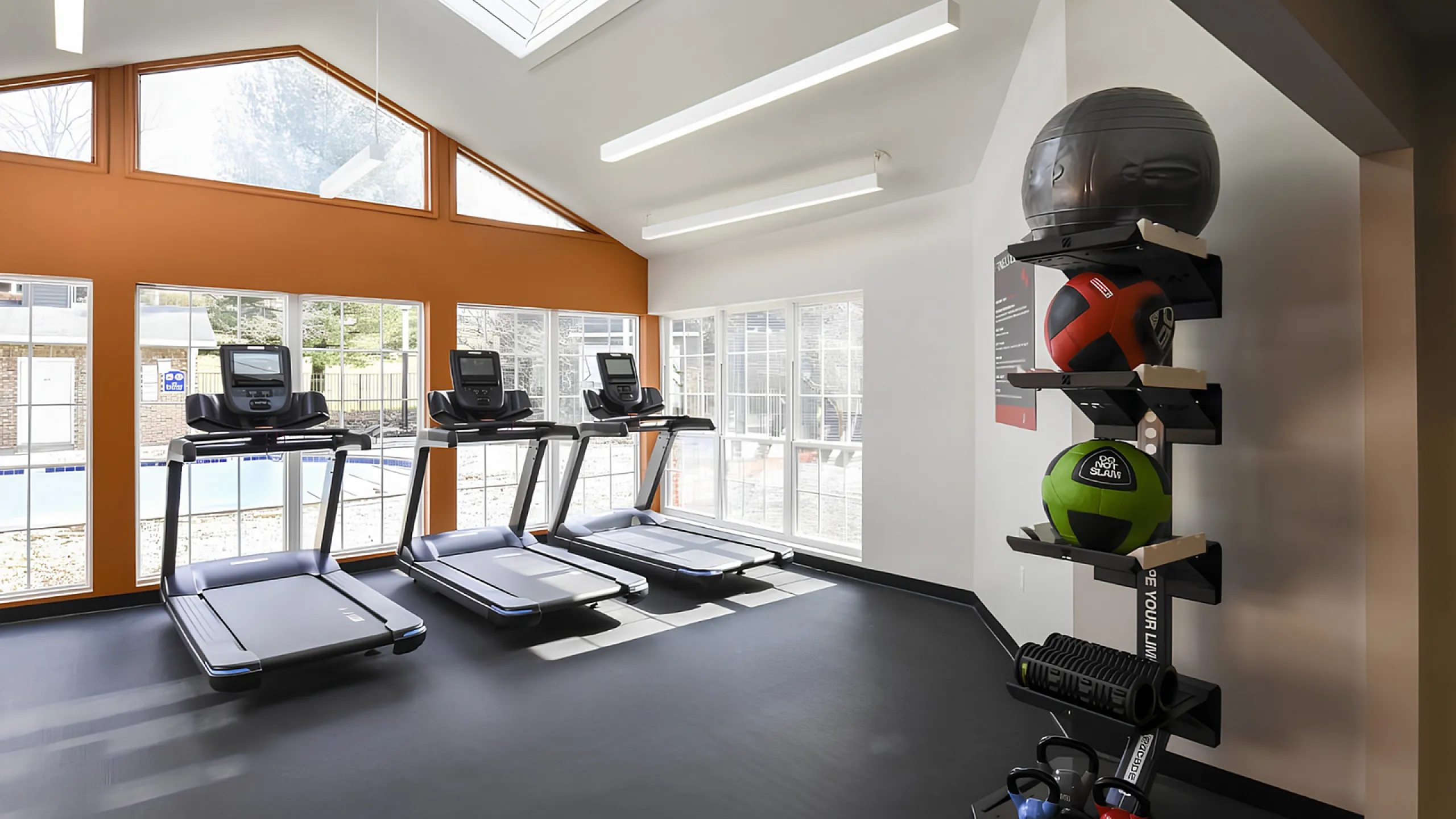 Modern fitness room featuring sleek treadmills, a variety of exercise balls, and abundant natural light through large windows.